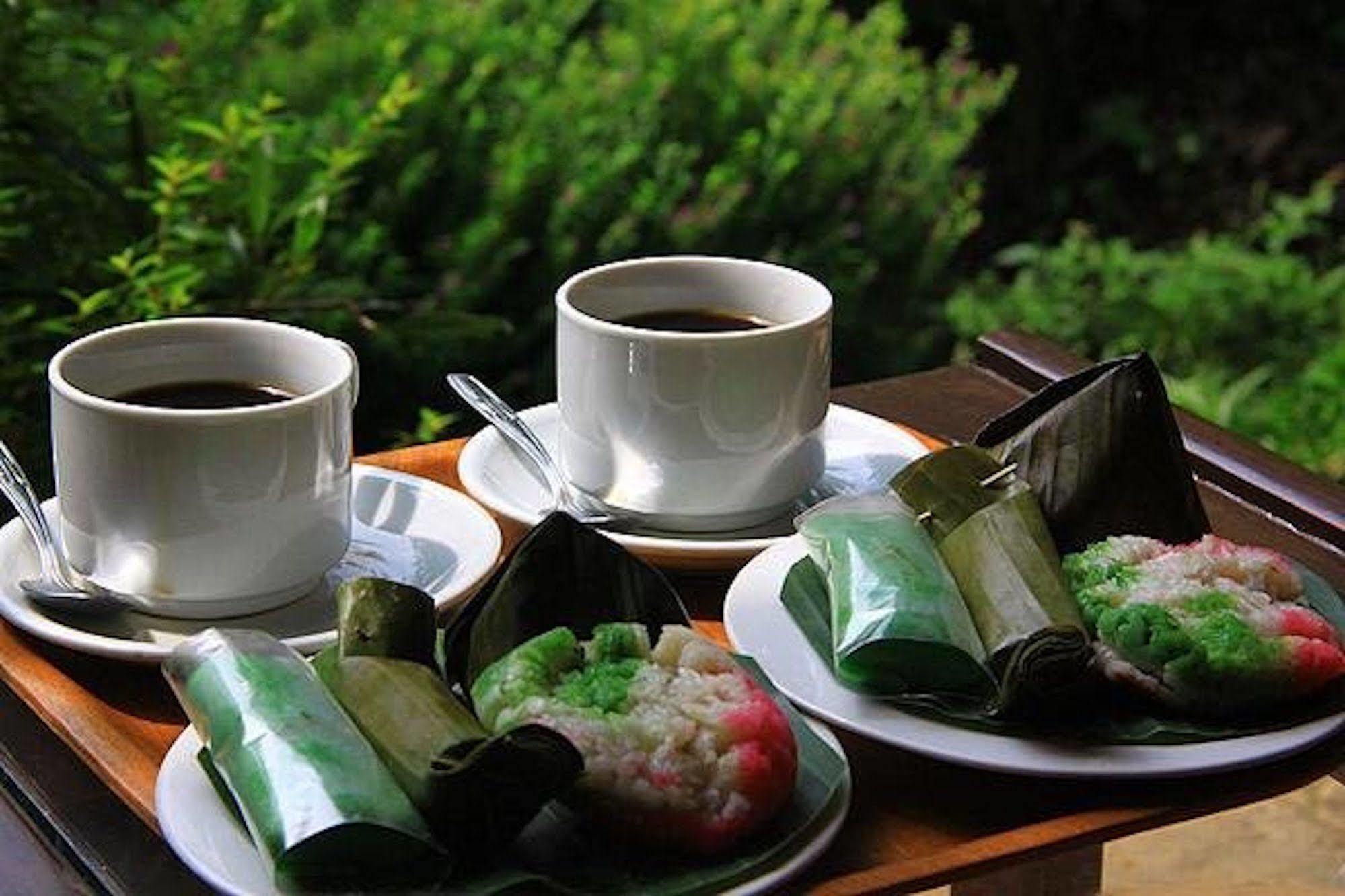 The Aura Shanti Retreat Baturiti 외부 사진