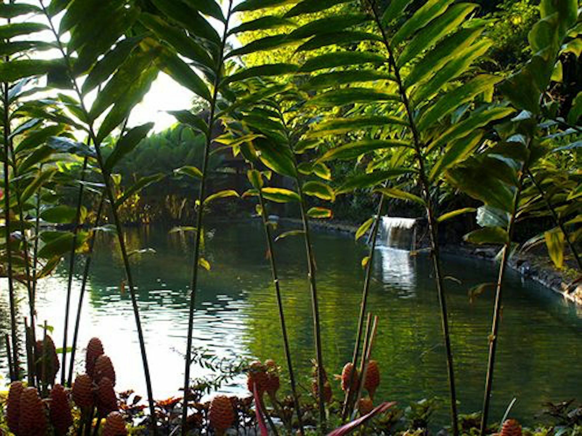 The Aura Shanti Retreat Baturiti 외부 사진